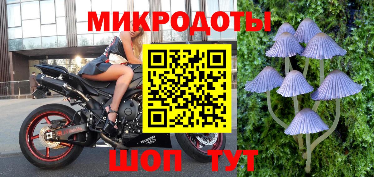 Галлюциногенные грибы Cubensis Богородск