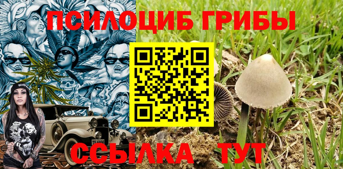 Богородск  Псилоцибиновые грибы Psilocybine cubensis  Вход с VPN 